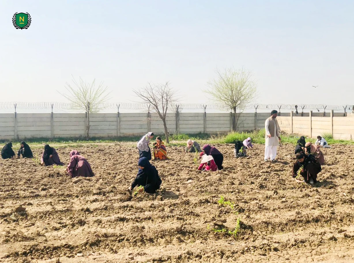 A Step Towards Sustainability | Plantation Drive 2026